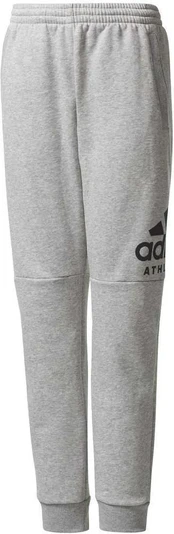 Adidas Kelnės Paaugliams Yb Sid Pants Pilkas CF2457