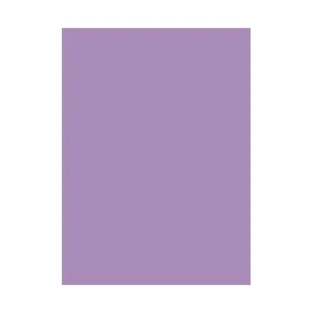 Spalvotas kartonas A2/170g tams.violetin