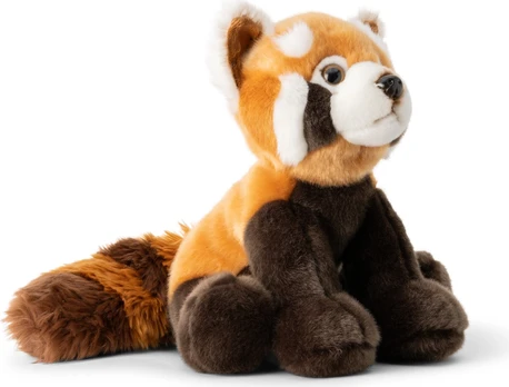 Dante Czerwona Panda