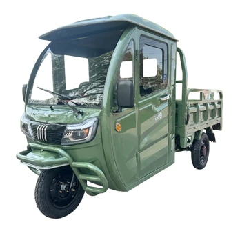 Elektrinis krovininis triratis RIDE-E TITAN (EEC) 1000W 45Ah 72V