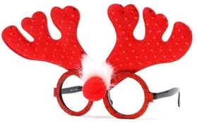 Fiesta Rudolf brille
