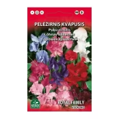 PELĖŽIRNIS KVAPUSIS VIJOKLINIS kaina