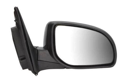 BLIC 5402-20-2001402P Wing mirror