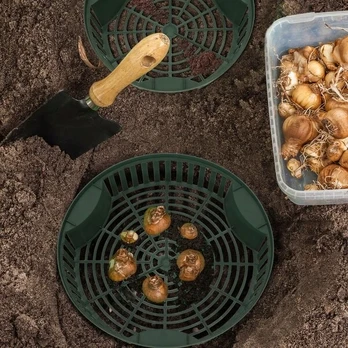 Onions basket 315 dėklas svogūnų sodinimui