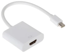 Array Masyvas ADAPTERIS MDP-W/HDMI-G kaina