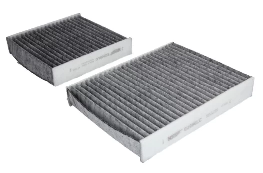 Salono filtras HENGST E2967LC-2