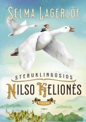 Stebuklingosios Nilso kelionės kaina
