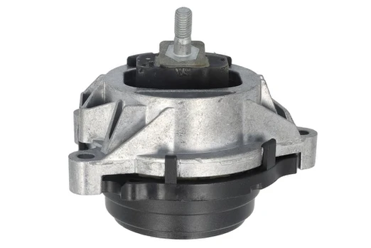 Variklio montavimas TEDGUM TED24020