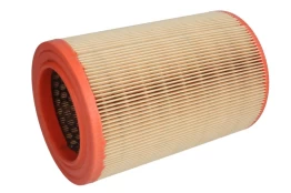 Oro filtras FILTRON AR234/5 kaina
