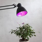 LED augalų lemputė "thrive", lemputė A60, E27, 6,5 W, raudona