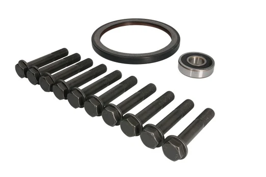 remonto komplektas, smagratis FE46307
