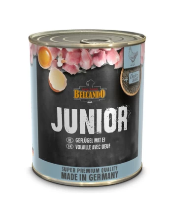 BELCANDO Junior vištiena + kiaušinis 800 g