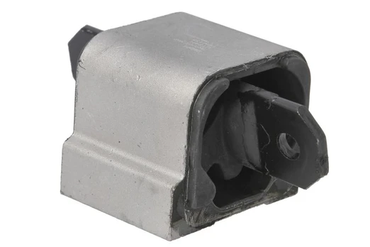 Variklio montavimas DELPHI TEM135