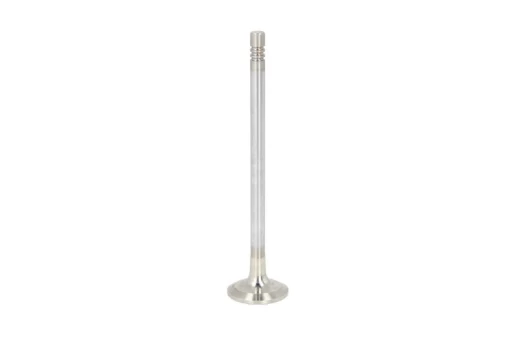 FRECCIA 6800/RCR Exhaust valve