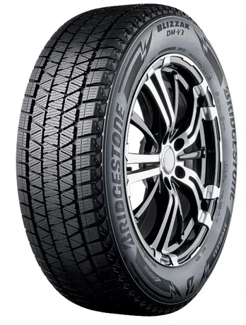 Bridgestone Blizzak DM V3 285/50 R20 116 T