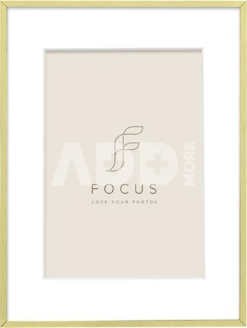 Focus Aster Gold 18x24/PP 13x18