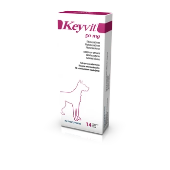 Keyvit 50 mg tabletės šunims N14
