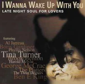 CD Various - I Wanna Wake Up With You