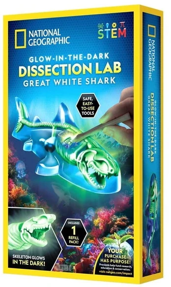 National Geographic - Dissection Lab Shark (29-2461)