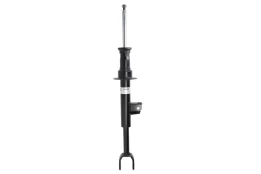 BILSTEIN 19-282626 Shock absorber kaina