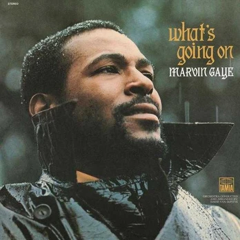 Marvin Gaye - What's Going On (vinilinė plokštelė, LP)