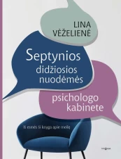 Septynios didžiosios nuodėmės psichologo kabinete kaina
