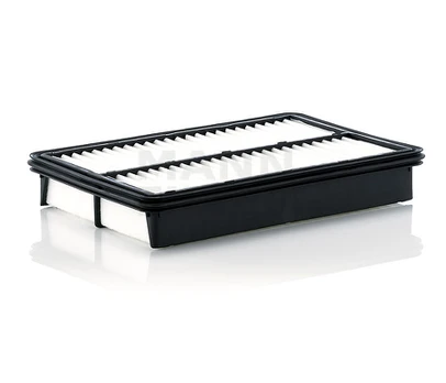 Oro filtras C27019
