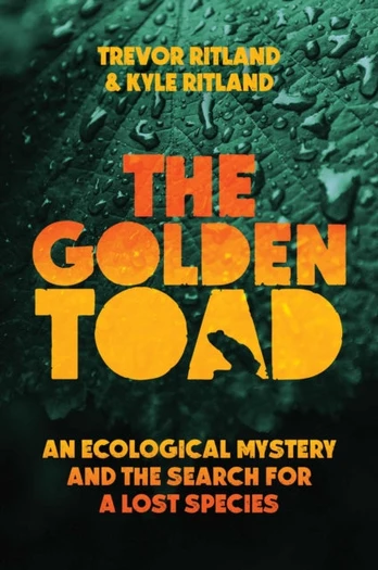 Golden Toad