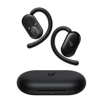 Ausinės Anker Soundcore V20i