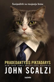 Pradedantysis piktadarys kaina