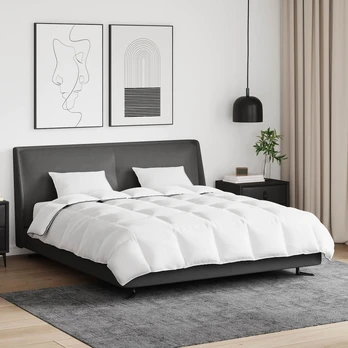 Žiemos antklodės komplektas su pagalve 3 pcs Balta 240 x 220 cm