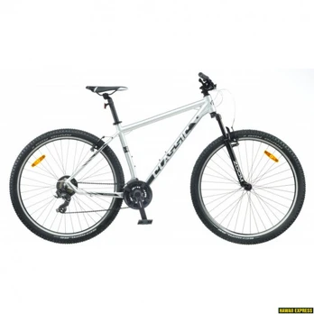Dviratis 29 CLASSIC TEAM 29 21sp blue classic - xl