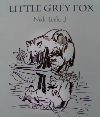 Little Grey Fox