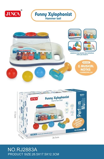 2-in-1 Music Set