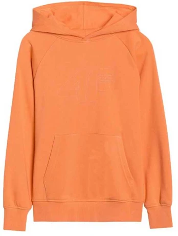 4F džemperis