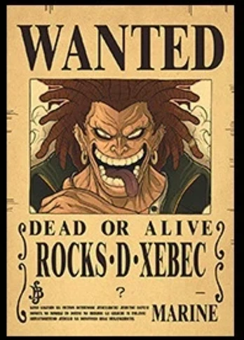 Plakatas One Piece