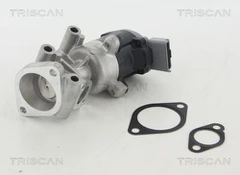 ERG vožtuvas TRISCAN 8813 10009