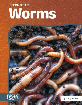 Worms 