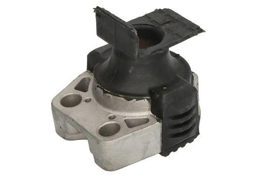 Variklio montavimas TEDGUM TED75083