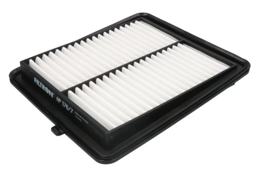 Oro filtras FILTRON AP176/7