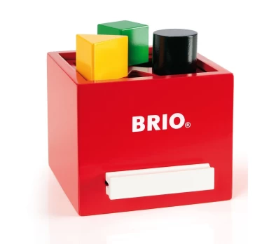 Lavinimo žaislas Brio Sorting Box