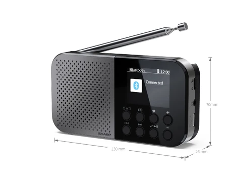 Sharp DR-P520(GY) OSAKA Pocket/Handheld Portable Digital Radio, Grey | Sharp