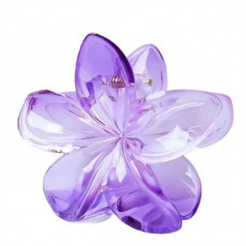 ECARLA sagtis d/įsk. SP320 ombre gėlė#