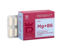 REXSAVIT LIPO Mg+B6, kietosios kapsulės N30 kaina