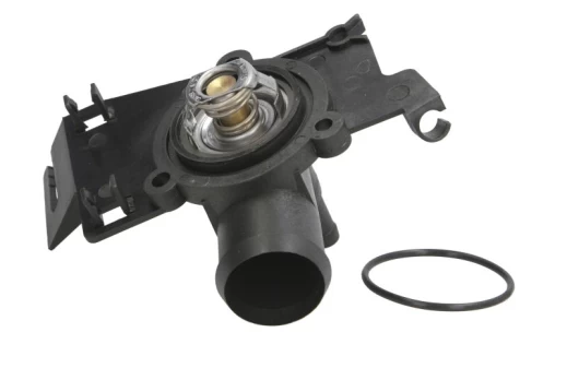 termostatas, aušinimo skystis THERMOTEC D2S002TT