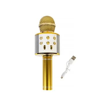 Karaokė mikrofonas-kolonėlė su balso keitimo efektais WS-858