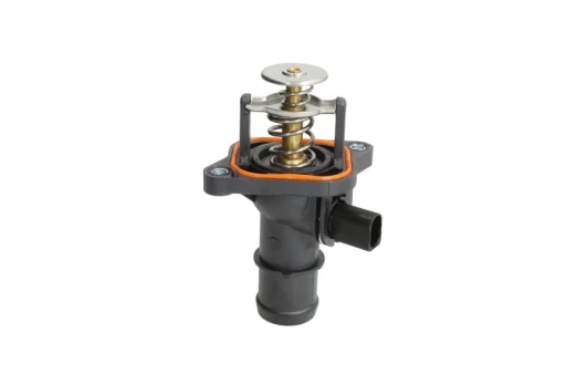 termostatas, aušinimo skystis THERMOTEC D2T005TT