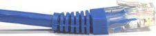 NETRACK BZPAT2UB patch cable RJ45