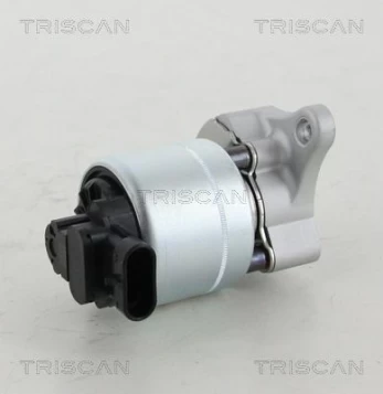 ERG vožtuvas TRISCAN 8813 28008