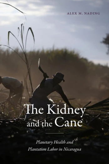 Kidney and the Cane